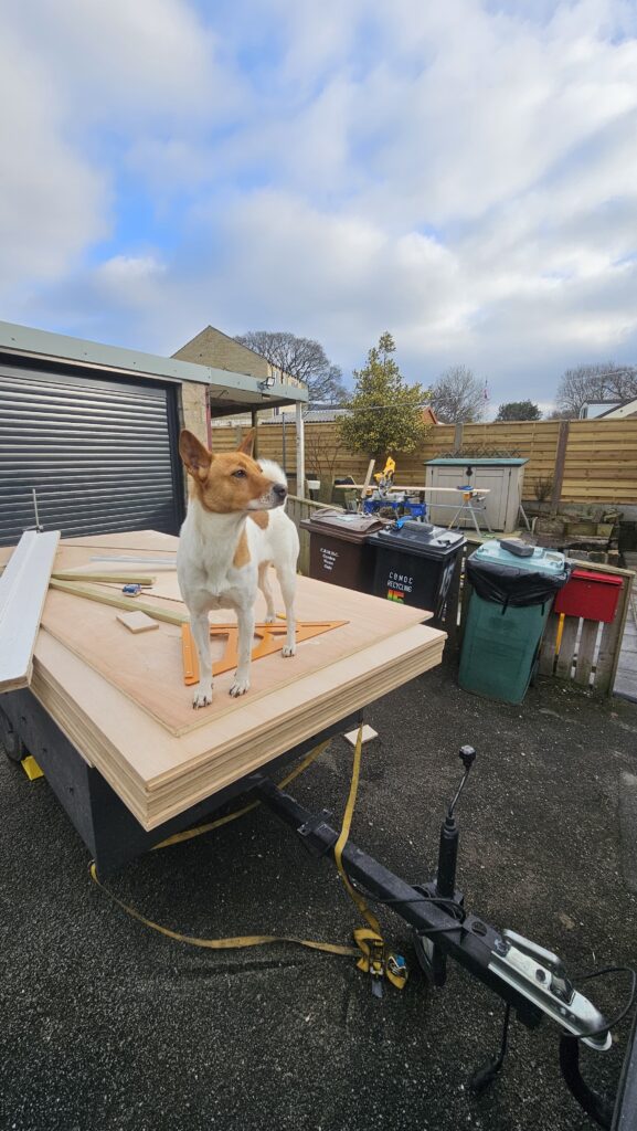 plywood boards ready for custom cabinet fabrication