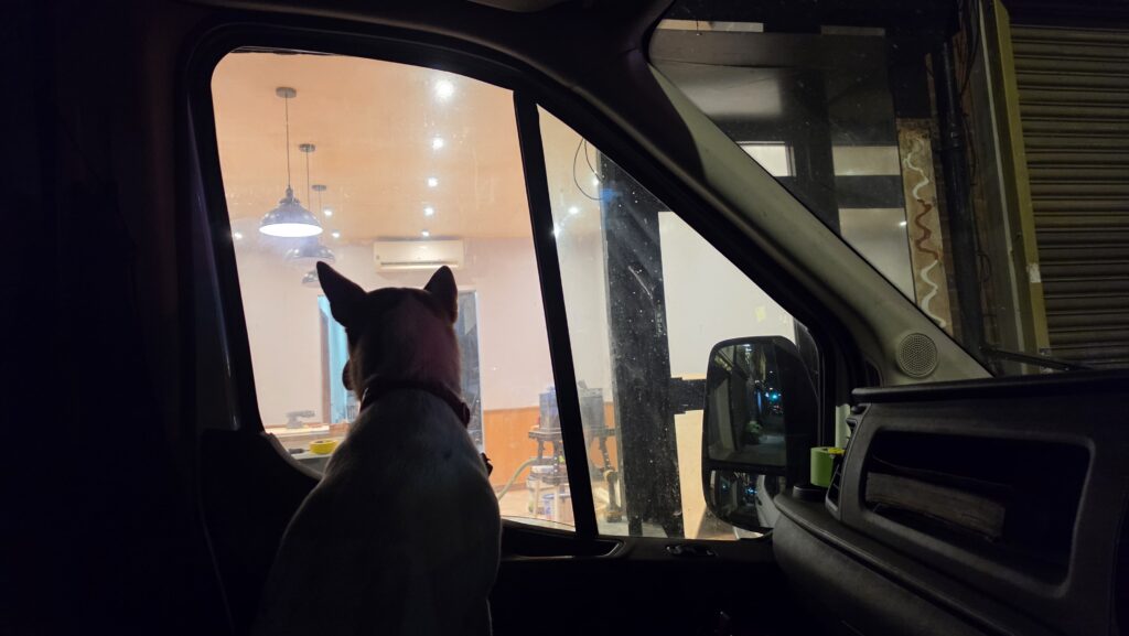 My dog watching the café counter installation from the work van